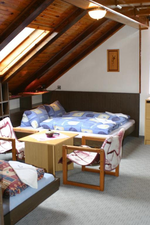 Pension U Vlasku Karlovy Vary Cameră foto